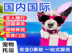 美兰航空货运国际宠物托运 【国